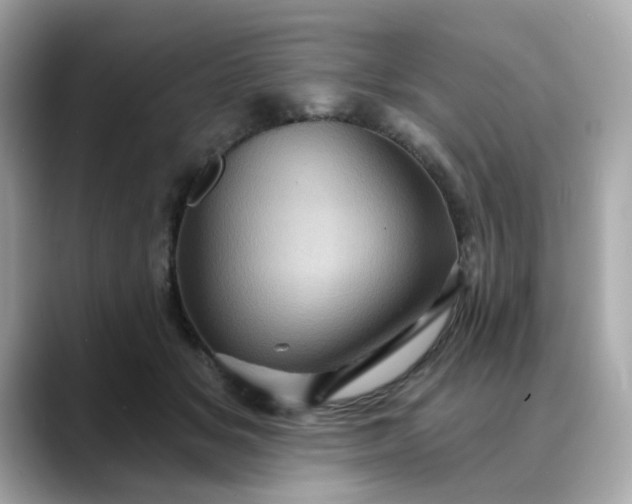 X0000088430509200706051232