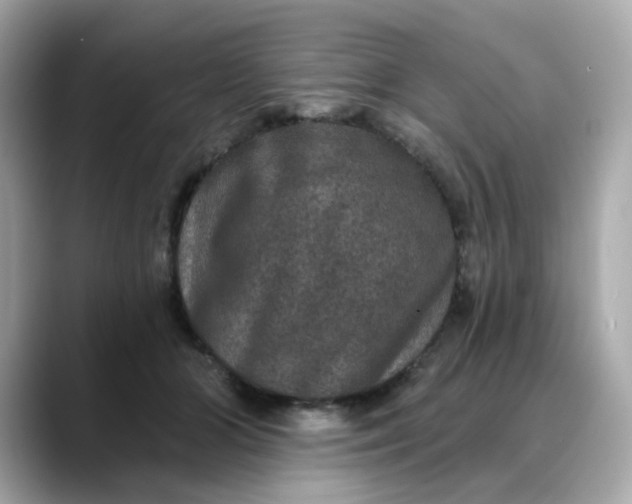 X0000088430510200706051232