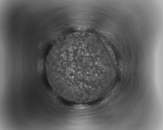 X0000088430511200706051232