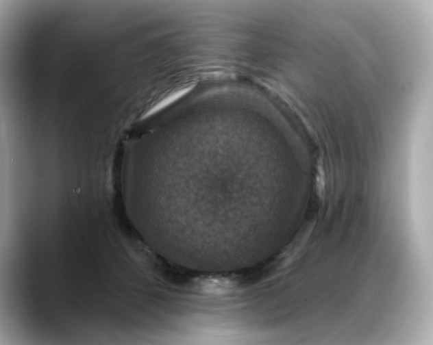 X0000088430512200706051232