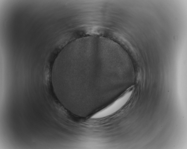 X0000088430513200706051232