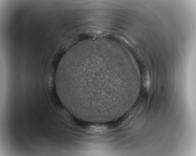 X0000088430515200706051232