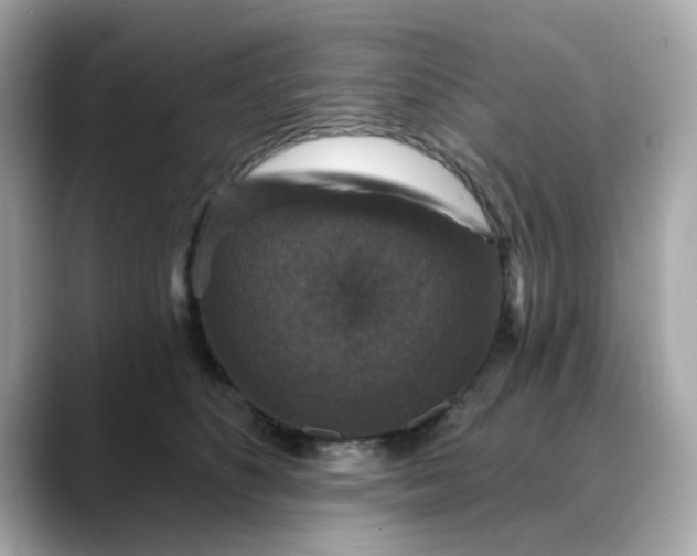 X0000088430516200706051232