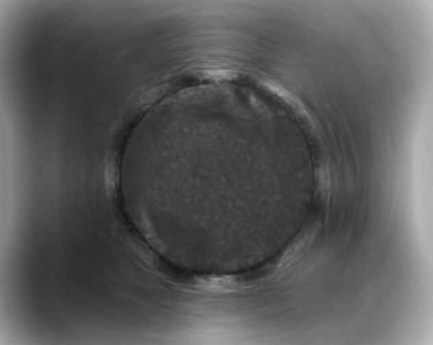 X0000088430517200706051232