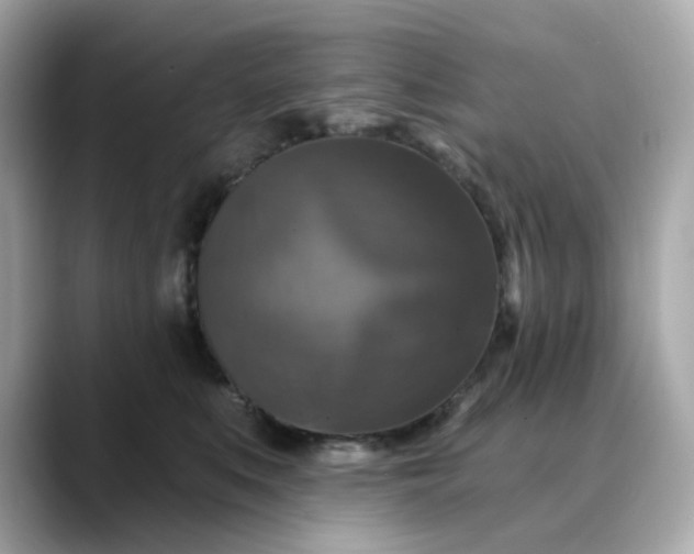 X0000088430519200706051232