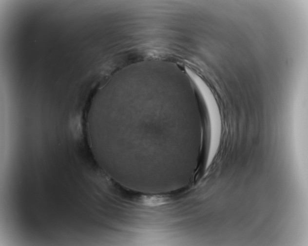 X0000088430520200706051232