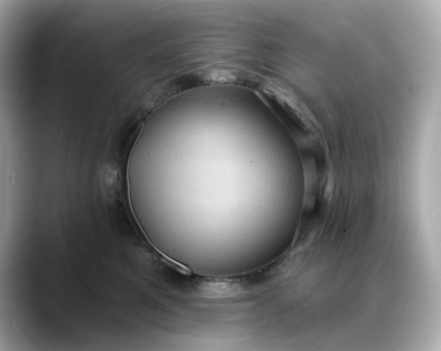 X0000088430521200706051232