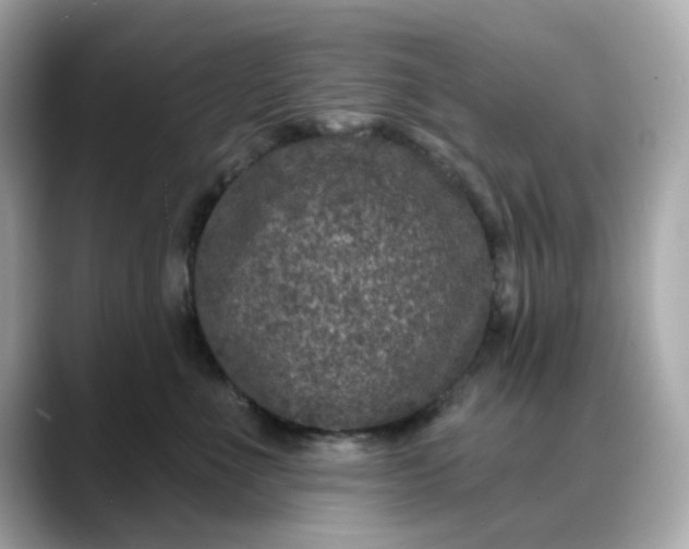 X0000088430523200706051232