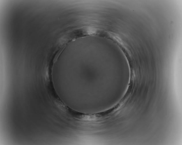 X0000088430524200706051232