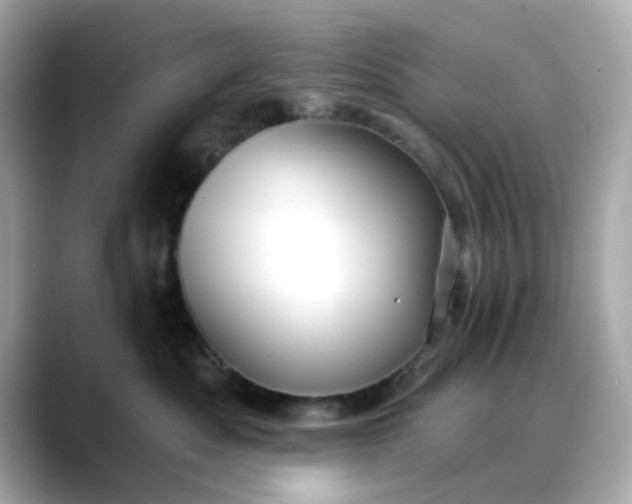 X0000088430525200706051232