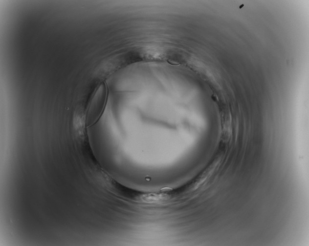 X0000088430526200706051232