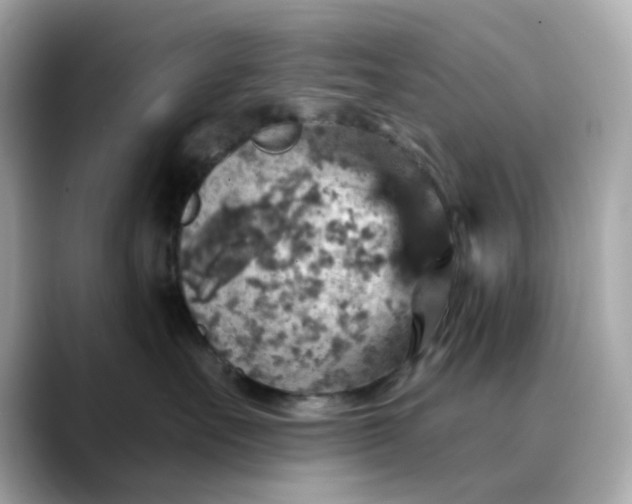 X0000088430527200706051232