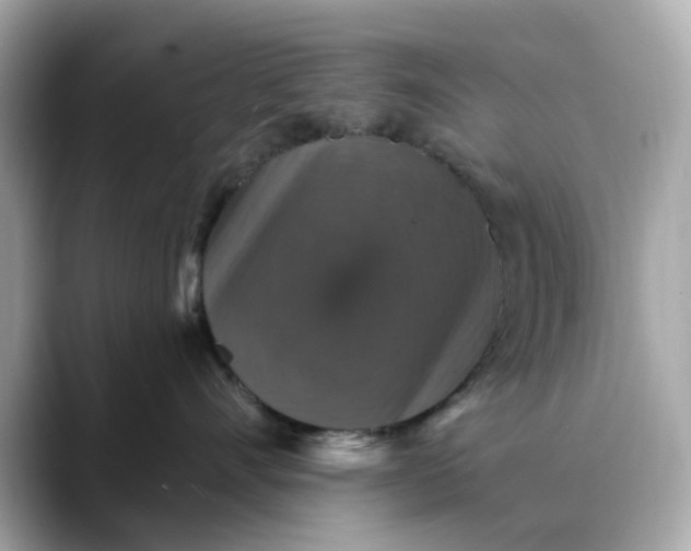 X0000088430528200706051232