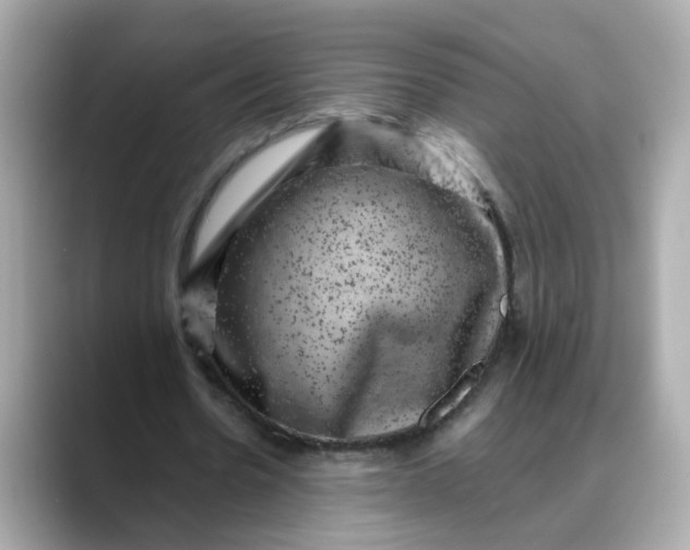 X0000088430530200706051232