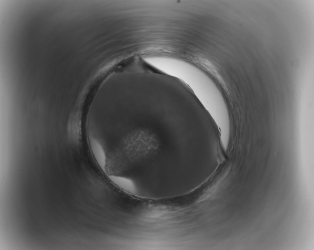 X0000088430531200706051232