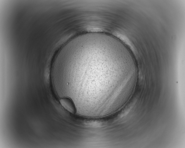 X0000088430533200706051232