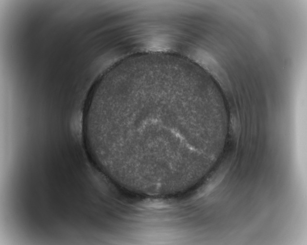 X0000088430534200706051232