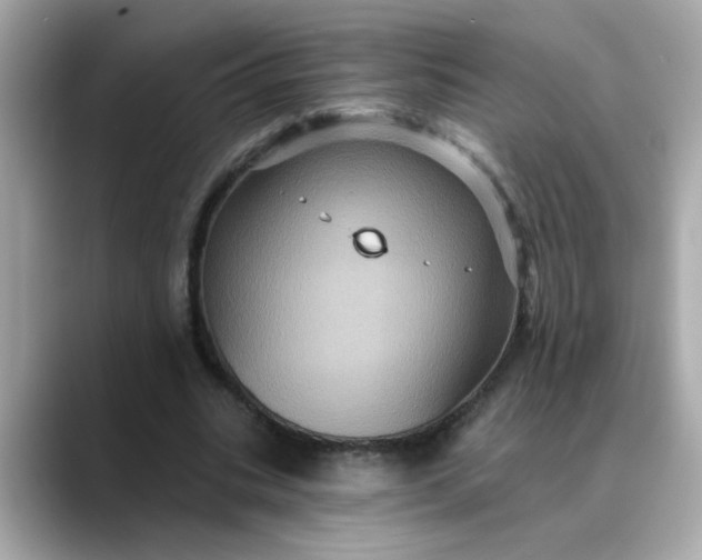 X0000088430535200706051232