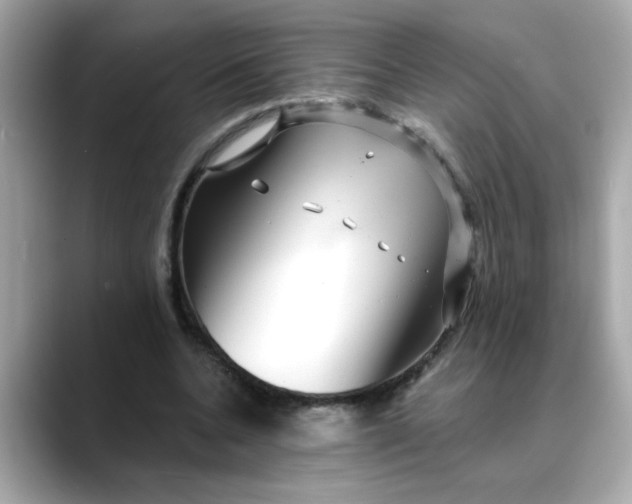 X0000088430536200706051232