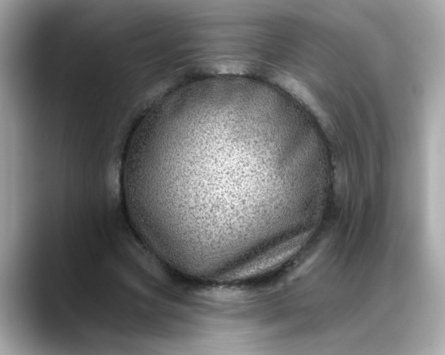 X0000088430537200706051232