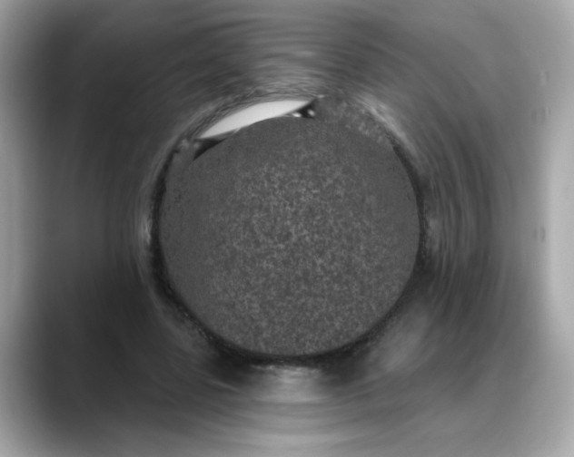 X0000088430539200706051232