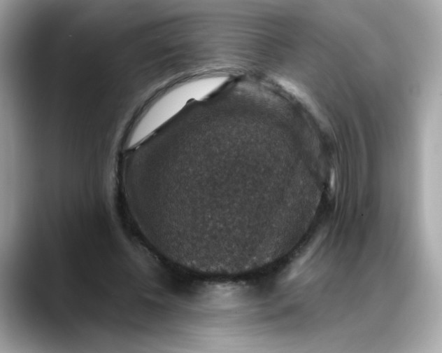 X0000088430540200706051232