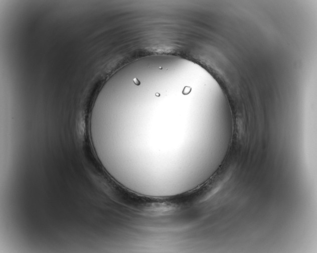 X0000088430541200706051232