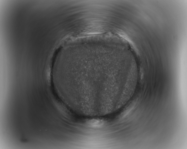 X0000088430542200706051232