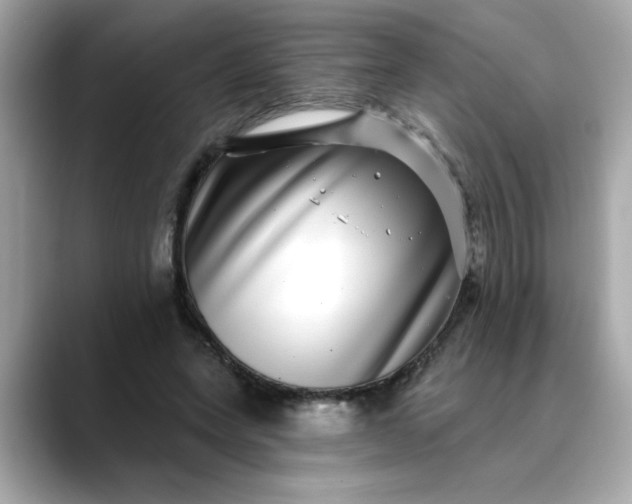 X0000088430543200706051232