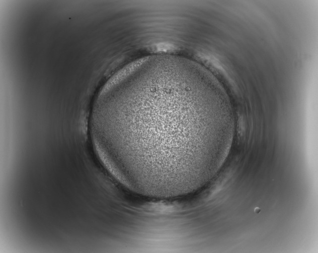 X0000088430545200706051232