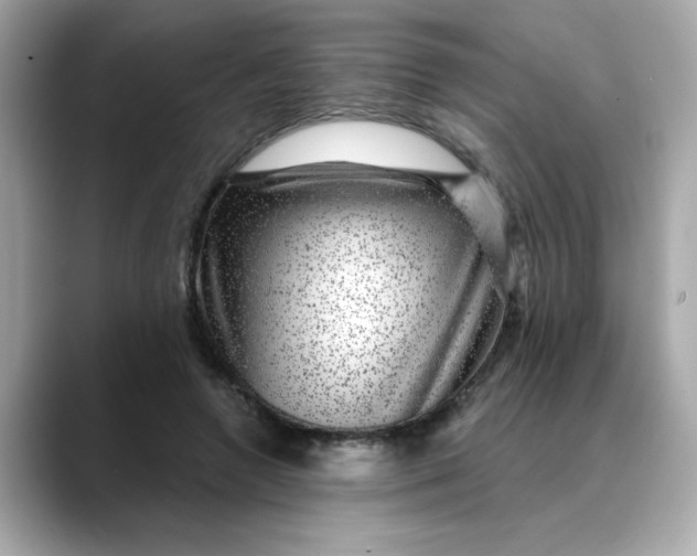 X0000088430546200706051232