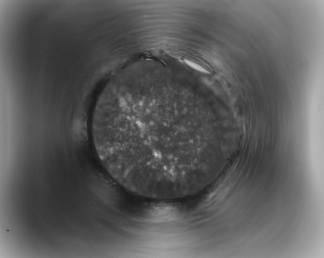 X0000088430547200706051232