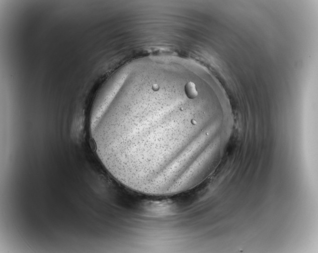 X0000088430548200706051232