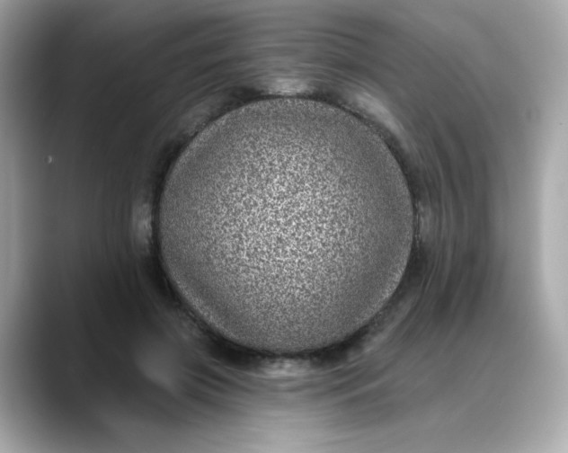 X0000088430549200706051232