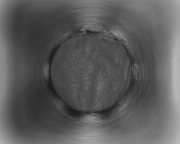 X0000088430550200706051232