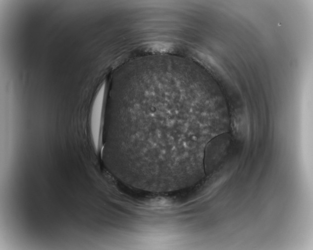 X0000088430551200706051232