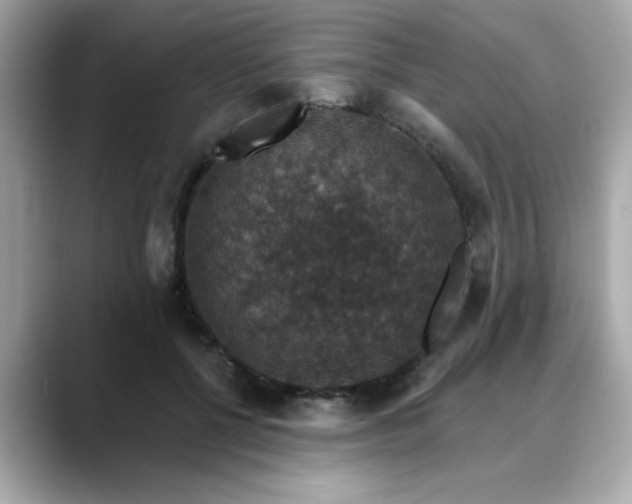 X0000088430552200706051232