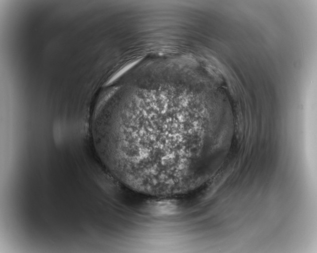 X0000088430553200706051232