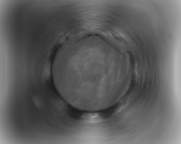 X0000088430554200706051232