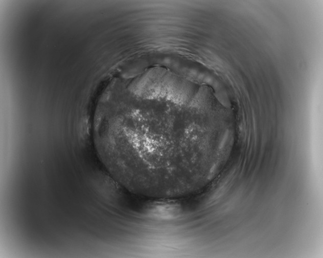 X0000088430555200706051232