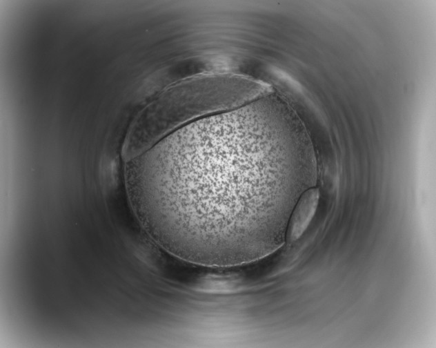 X0000088430556200706051232