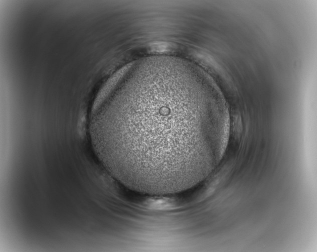 X0000088430557200706051232