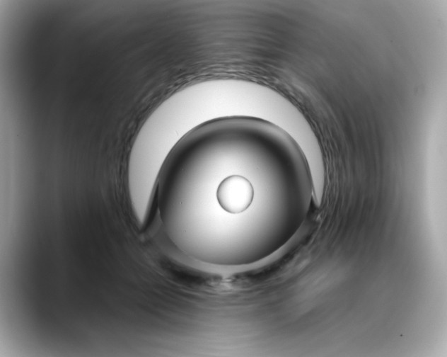 X0000088430558200706051232