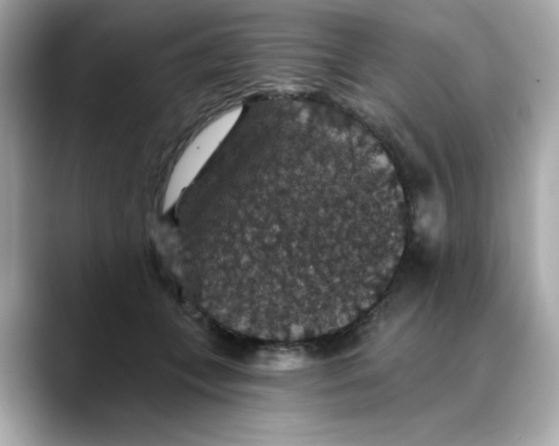 X0000088430559200706051232