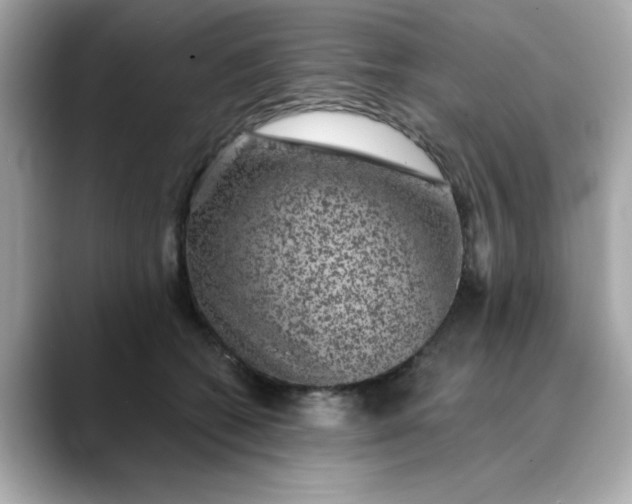 X0000088430562200706051232