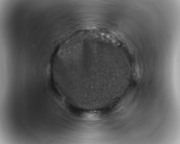 X0000088430563200706051232