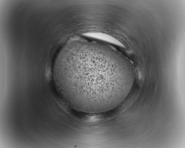 X0000088430564200706051232