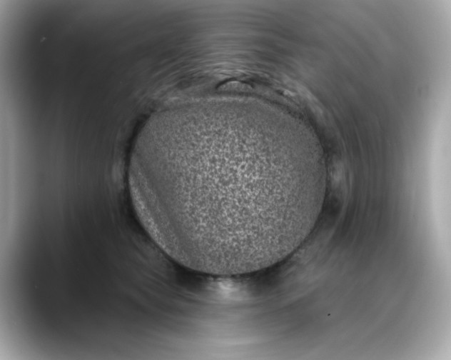 X0000088430565200706051232