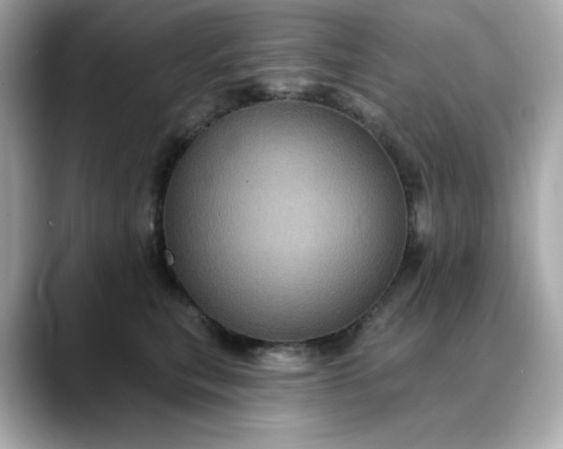 X0000088430567200706051232