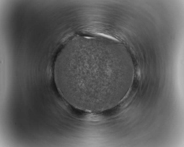 X0000088430568200706051232